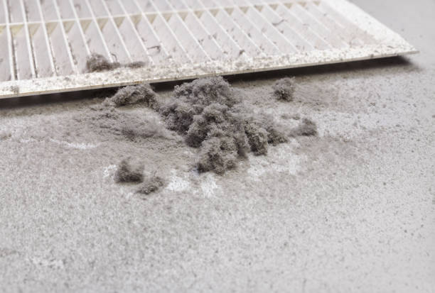 Best HVAC Maintenance and Cleaning  in New Castle, IN