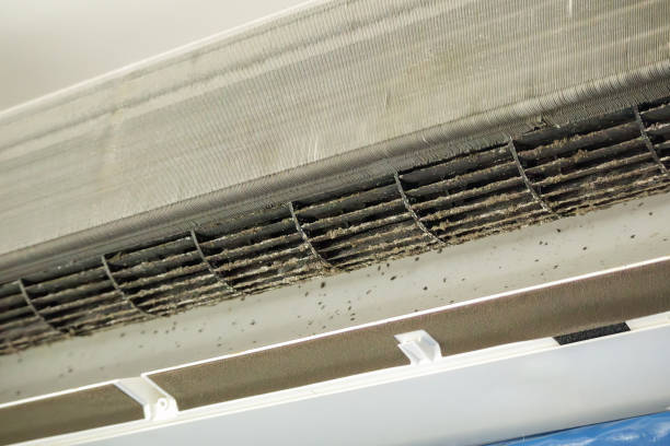 Best Local Air Duct Cleaning Services  in New Castle, IN